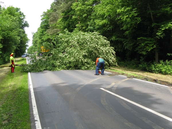 Einsatz 02.06.2013 H1 Baum auf Straße