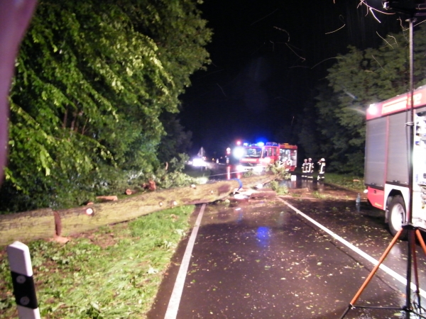 Einsatz 21.06.2013 H1 Großer Baum auf Straße