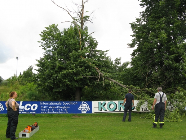 Einsatz 21.06.2013 H 1 mehrere umgestürzte Bäume