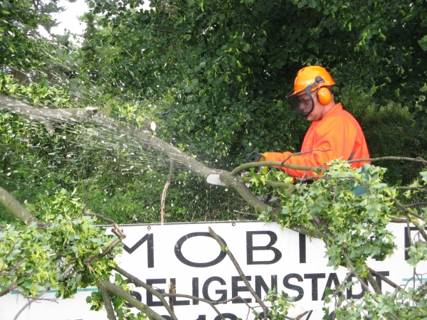 Einsatz 21.06.2013 H 1 mehrere umgestürzte Bäume