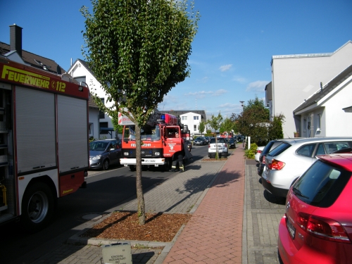 Einsatz 30.06.2013 F2 raucht Solaranlage