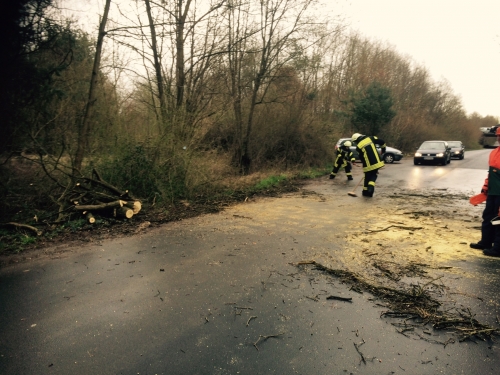 Einsatz 31.03.2015 H1 - Großer Baum auf Straße