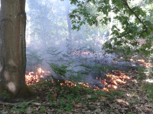 Einsatz 18.05.2015 F1 - Brennt Grünfläche bei Tanklager Aschaffenburg