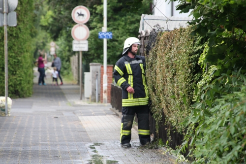 Einsatz 16.06.2015 F1 - brennt Hecke