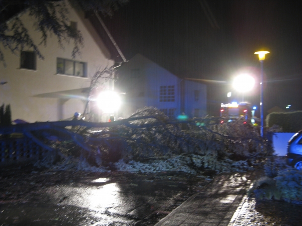 Einsatz 25.07.2015 H1 - Baum auf Straße