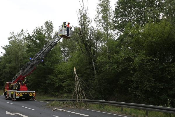 Einsatz 25.07.2015 H1 - Baum auf Straße (3)