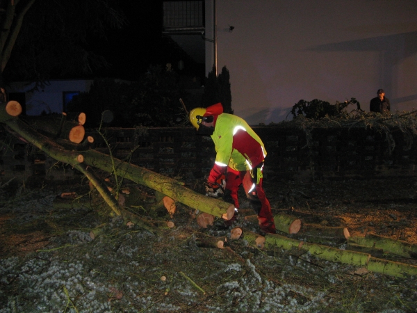 Einsatz 25.07.2015 H1 - Baum auf Straße