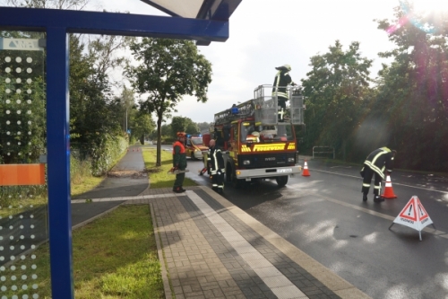 Einsatz 17.06.2016 H1 - Baum auf Straße