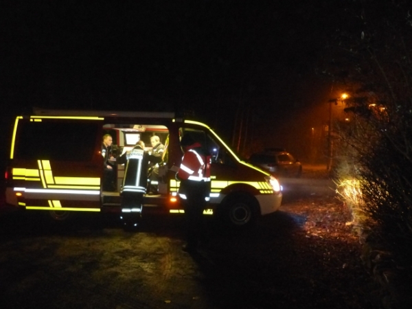 Einsatz 16.02.2017 H ZUG - Zug mit Gegenstand kollidiert