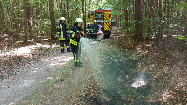 Einsatz 20.06.2017 FWald1 - brennt Waldfläche