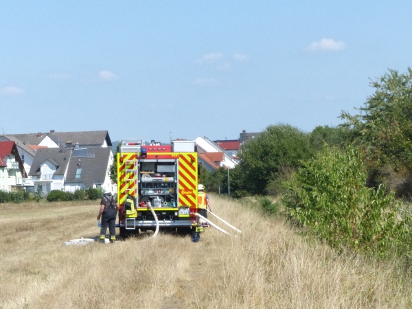 Einsatz 16.08.2018 FWald1 - Brennt Wiesenfläche