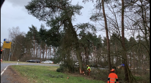 Einsatz 10.02.2020 - H1 Baum auf Straße