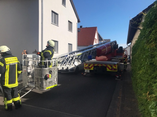 Einsatz 11.07.2020 - H1 Tier in Not