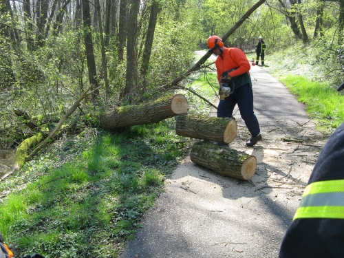 Einsatz 29.03.2014 H1 Baum auf Straße