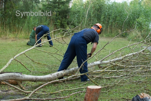 Einsatz 02.04.2022 - H1 Baum auf Straße